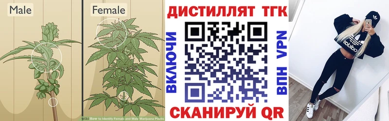 ТГК вейп с тгк  Дорогобуж 