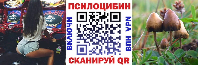 Галлюциногенные грибы Magic Shrooms  МЕГА как войти  Дорогобуж 